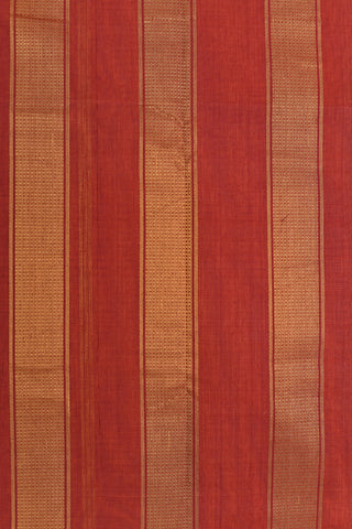 Contrast Zari Border In Plain Ochre Red Nine Yards Silk Cotton Saree