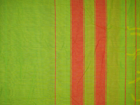 Elephant Border Plain Lime Green Cotton Salwar Material