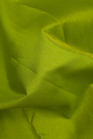 Zari Stripes Design Parrot Green Kanchipuram Silk Saree – Sundari Silks